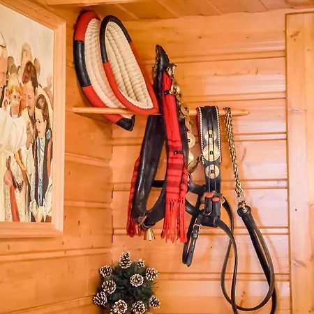 U Zwijacza Apartment *